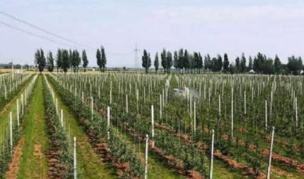 1753706169763952.png image.png